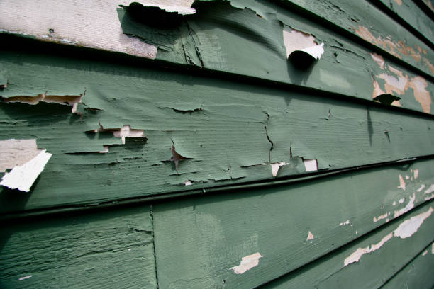 Demolition Debris Removal in Cane Savannah, SC